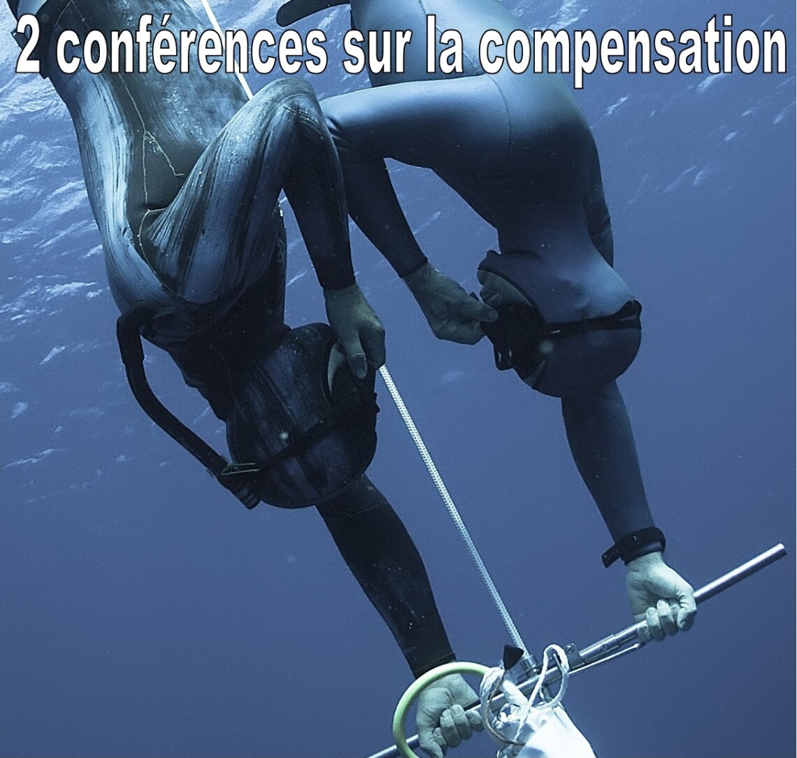 2 conferences compensation